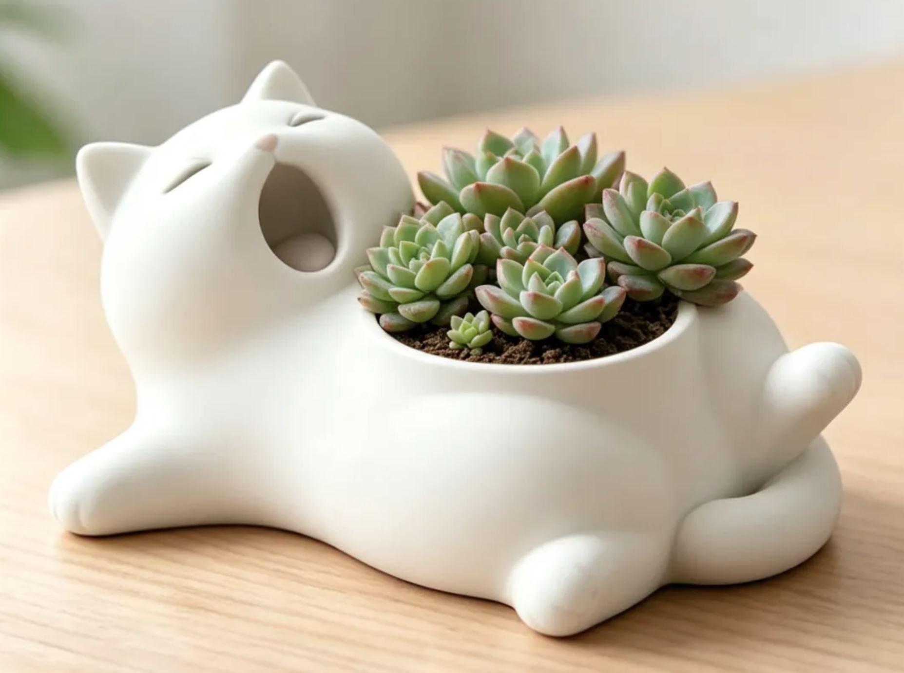 Maceta Gatito Dormilon 